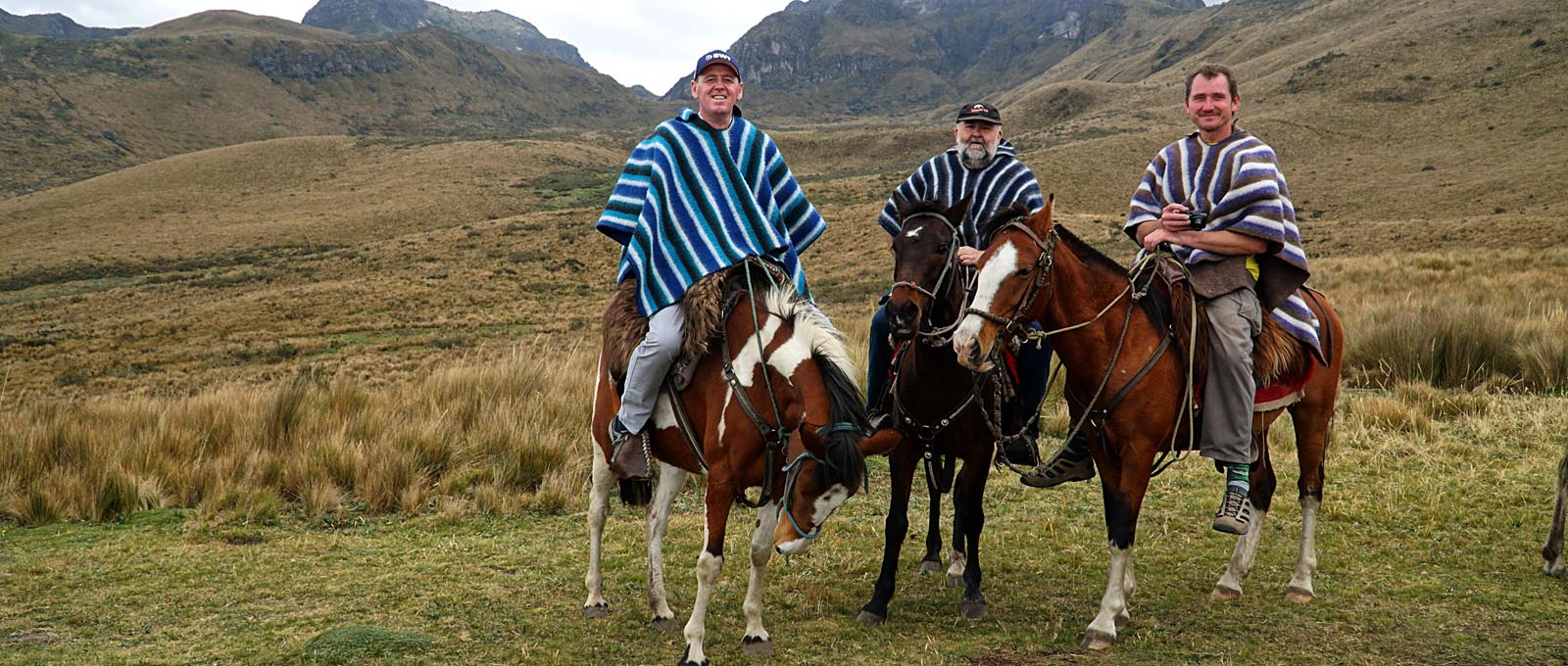 To Ried oppem Husboajch von Quito. Em Hinjagrunt dee Vulkan Oola Pchincha (4690 m). © Andreas Harms